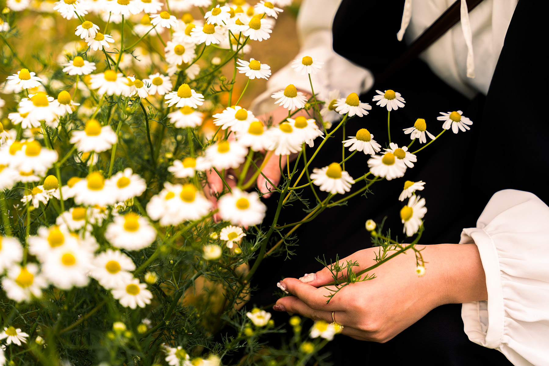 Feel the seasons through plants.