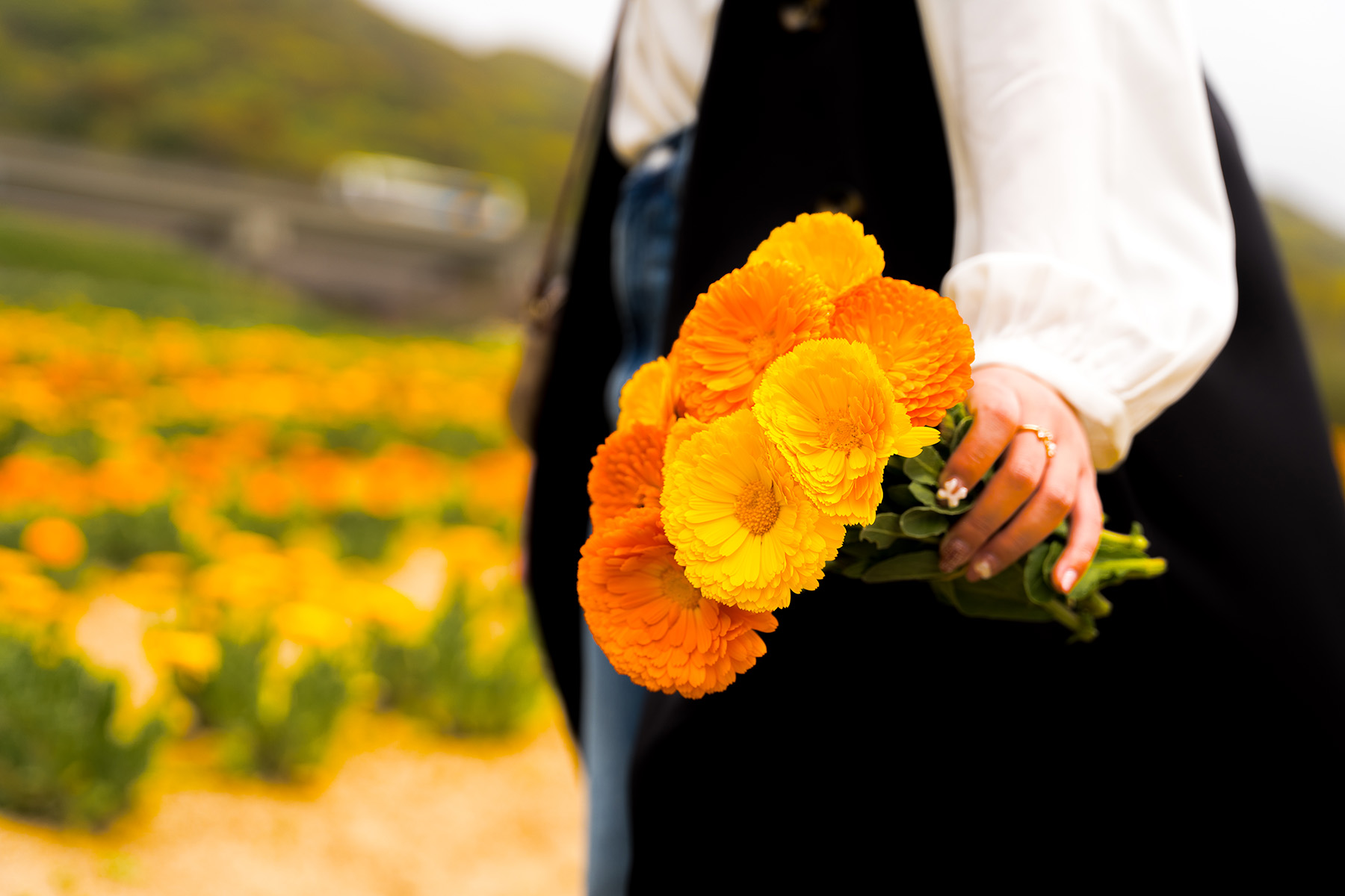 Arrange your picked plants in a bunch.